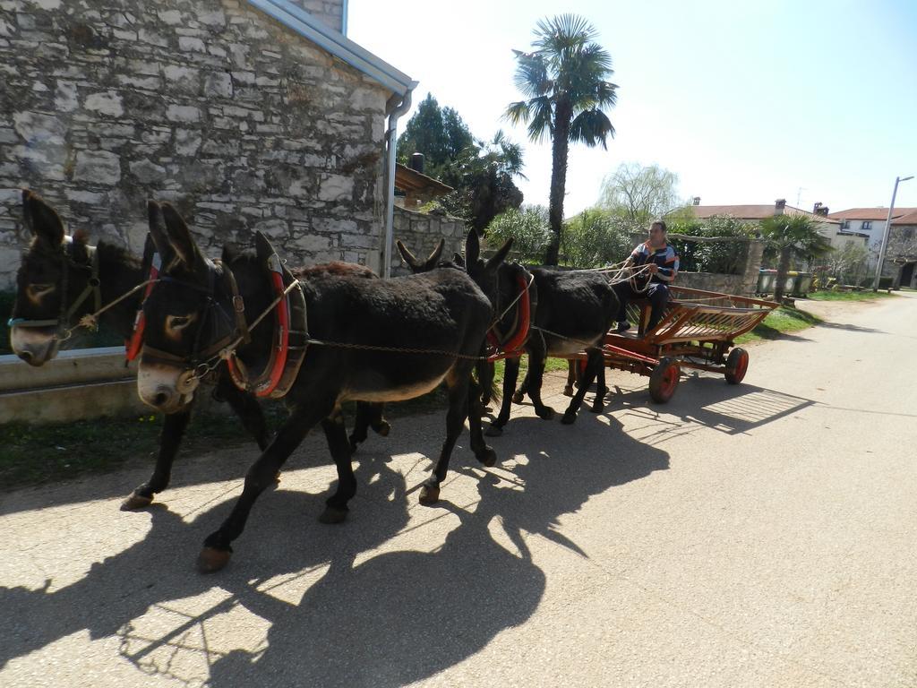 לינה וארוחת בוקר ברטוניגלה Ranch Radin מראה חיצוני תמונה